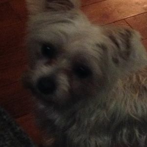 Meet your Posher, Joanne